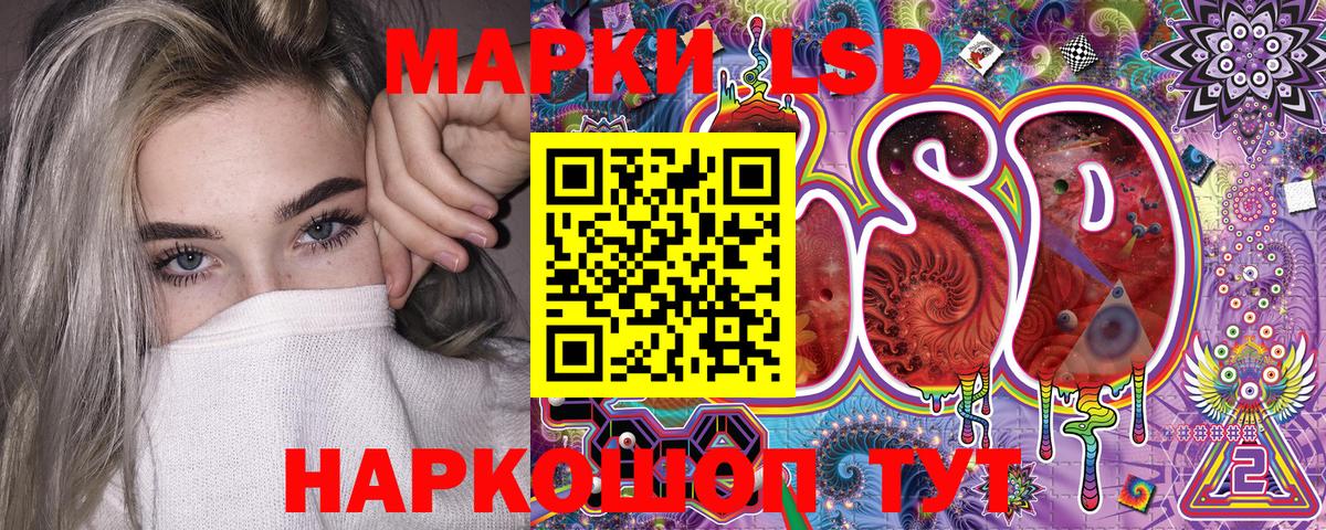 где можно купить наркотик  Марки NBOMe 1,8мг  Вход с VPN  Марки NBOMe 1,8мг  Кимовск  Марки NBOMe 