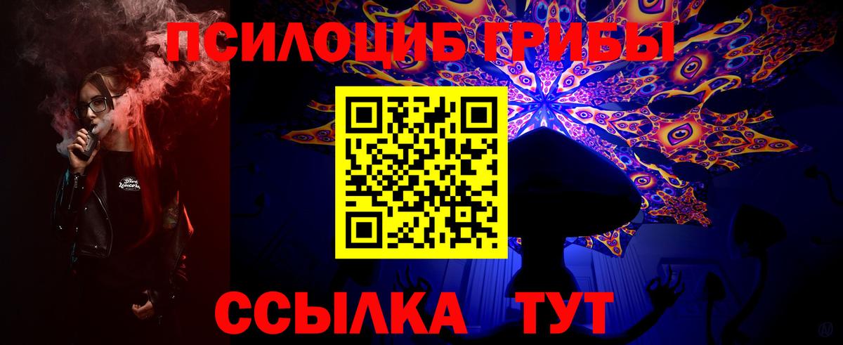 Псилоцибиновые грибы мухоморы  Вход с VPN  Кимовск  Галлюциногенные грибы Psilocybine cubensis 