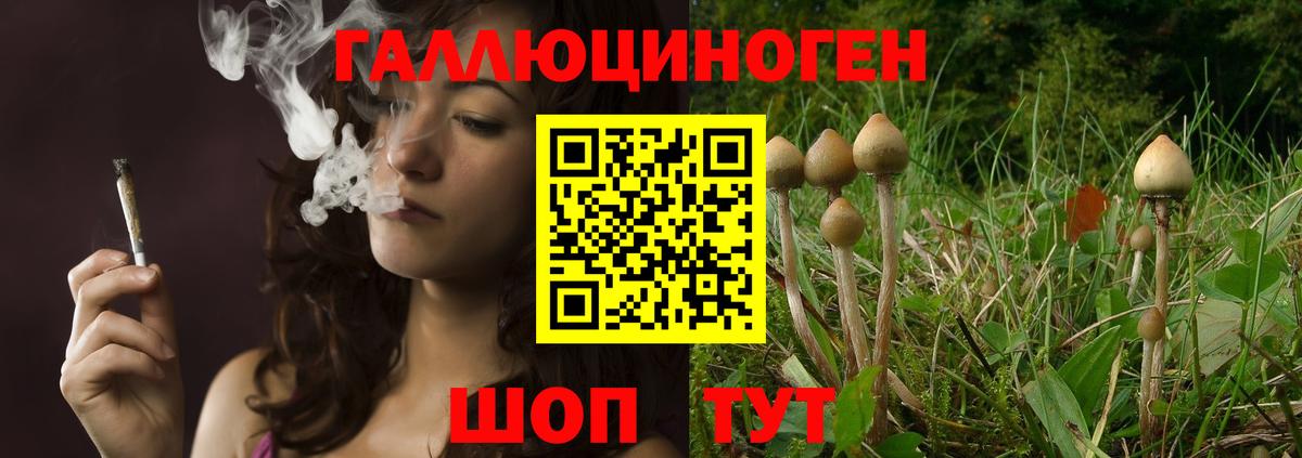 Галлюциногенные грибы мухоморы Кимовск